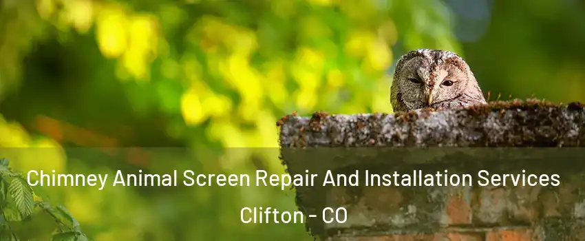  Chimney Animal Screen Repair And Installation Services Clifton - CO