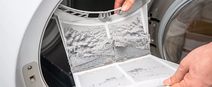 Best Dryer Lint Removal Company in Clifton, Colorado