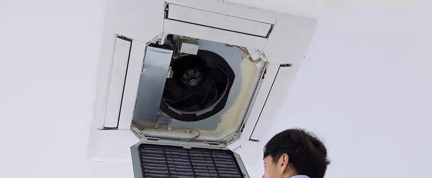 Benefits of Professional Air Duct Cleaning in Clifton, Colorado