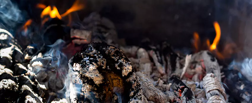 Creosote Removal Experts in Clifton, CO
