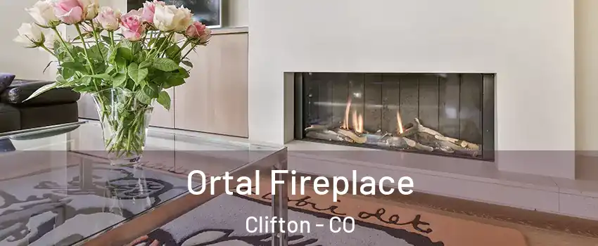  Ortal Fireplace Clifton - CO