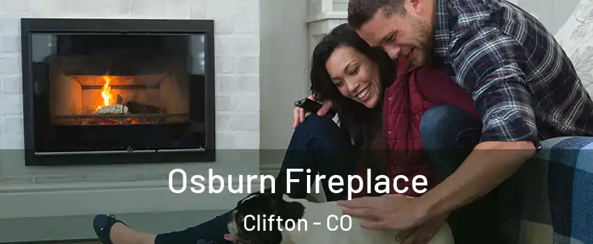  Osburn Fireplace Clifton - CO